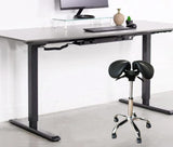 Combo of Conset (Denmark) 501-33 Electric Height Adjustable Desk with Ergonomic Adjustable Rolling Active Chair, (501-33+R4008)