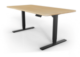 Electric 2 leg Table Standing desk with Memory (with OKIN German Motor), without table top