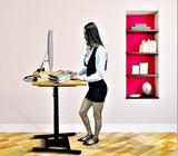 Single Leg Height Adjustable Electric Desk with 80 by 66 cm Top, (DSM)