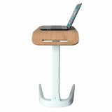 Foldable Laptop Floor Stand with Smooth Height Adjustment, Perfect for School, Home and Office, (LPTG)