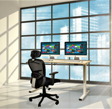 2-Leg Electric Height Adjustable Telescoping Table Frame with German Bosch Motor, (OMT9037)