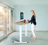 2-Leg Electric Height Adjustable Telescoping Table Frame with German Bosch Motor, (OMT9037)