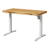 Single Motor Electric Sit to Stand Workstation with In-Built Drawer, Height Adjustable with Supportive Legs, Bamboo Top (R3071)