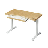 Single Motor Electric Sit to Stand Workstation with In-Built Drawer, Height Adjustable with Supportive Legs, Bamboo Top (R3071)