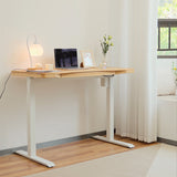 Single Motor Electric Sit to Stand Workstation with In-Built Drawer, Height Adjustable with Supportive Legs, Bamboo Top (R3071)
