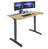 Dual Motor Height Adjustable Electric Standing Desk, Standing Desk Adjustable Height Stand Up Desk Computer Desks with Anti-Collision Protection, Grey (DM8P)