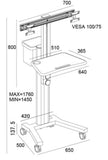 Dual TV Floor Stand (VCT09-D)  - 8