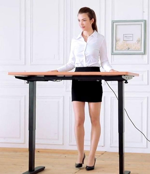 Dual Motor Height Adjustable Electric Standing Desk, Standing Desk Adjustable Height Stand Up Desk Computer Desks with Anti-Collision Protection, Grey (DM8P)